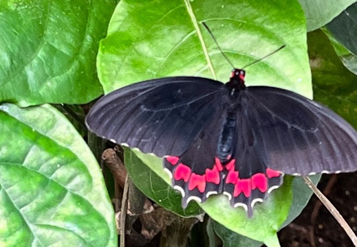 23-09-09 11-06-02 6507